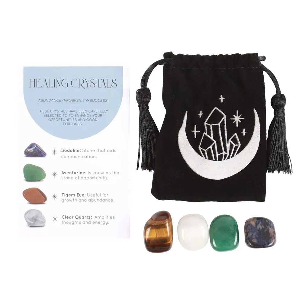 Success Healing Crystal Set with Moon Trinket Dish - Image 3