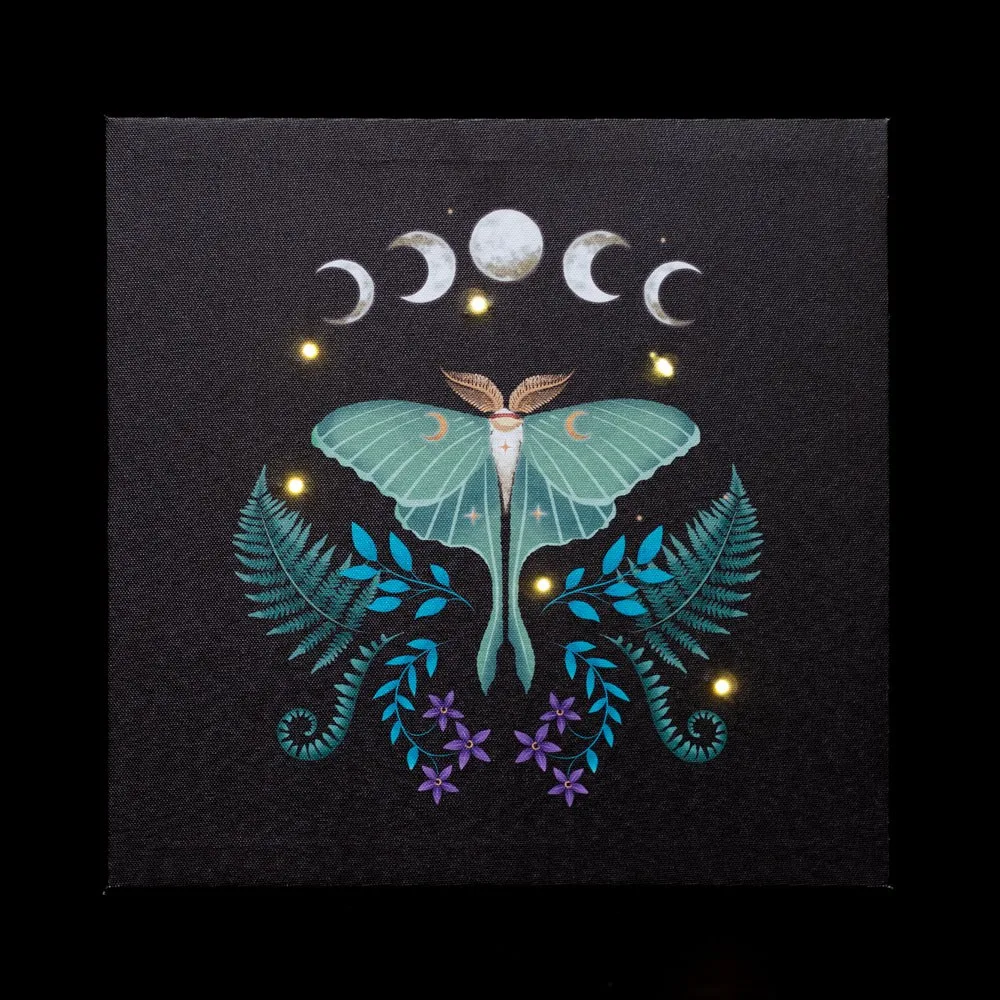 Luna Moth Light Up Canvas Plaque Luna Moth Light Up Canvas Plaque