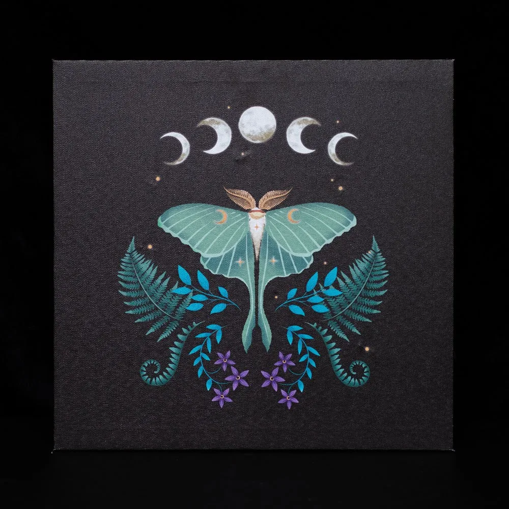 Luna Moth Light Up Canvas Plaque - Image 2