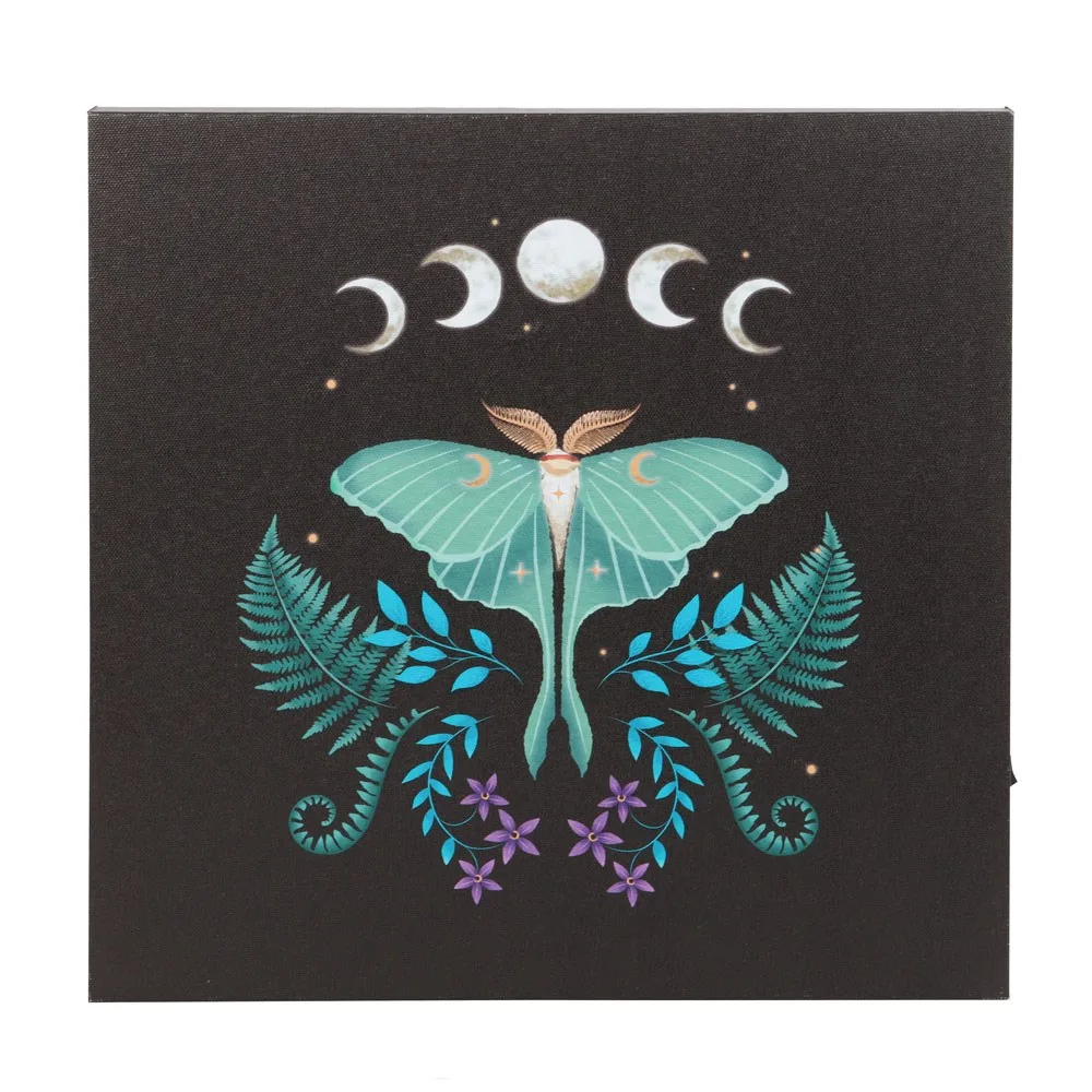 Luna Moth Light Up Canvas Plaque - Image 3