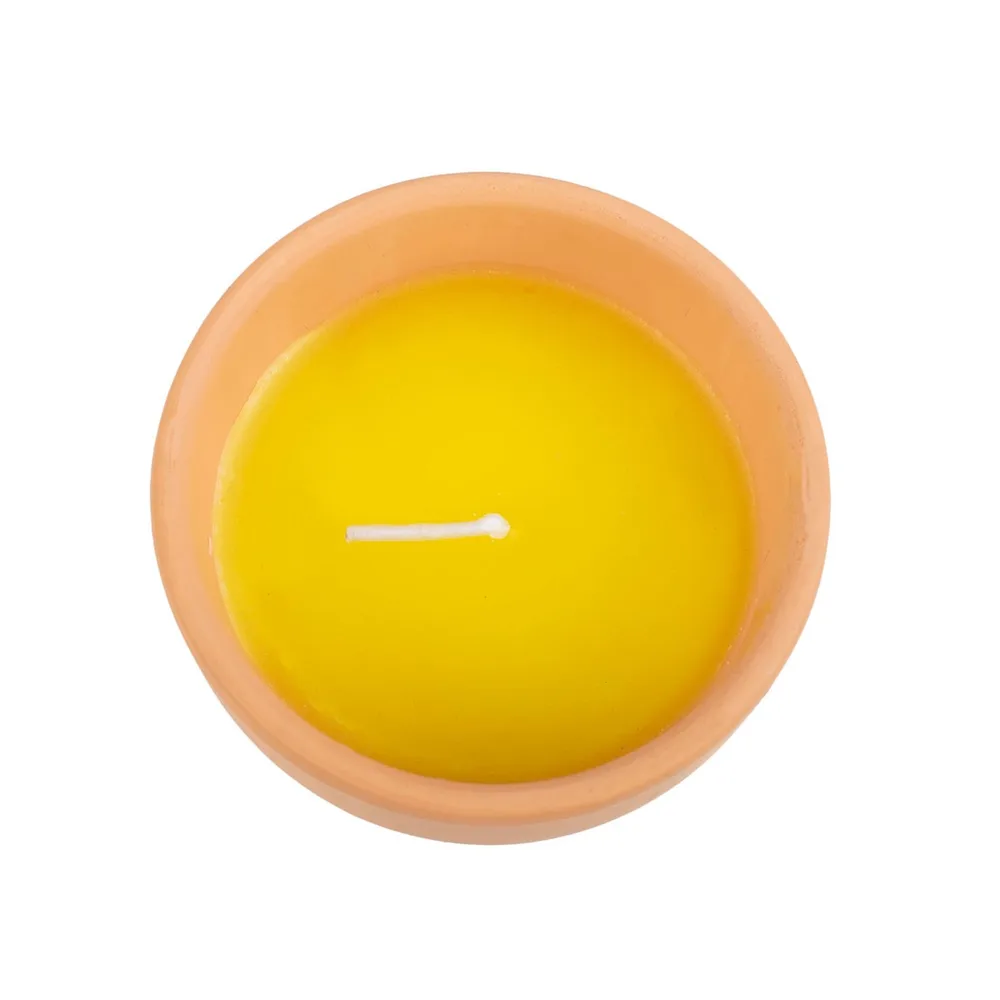 Gardener of the Year Citronella Candle, photo 2 of 5