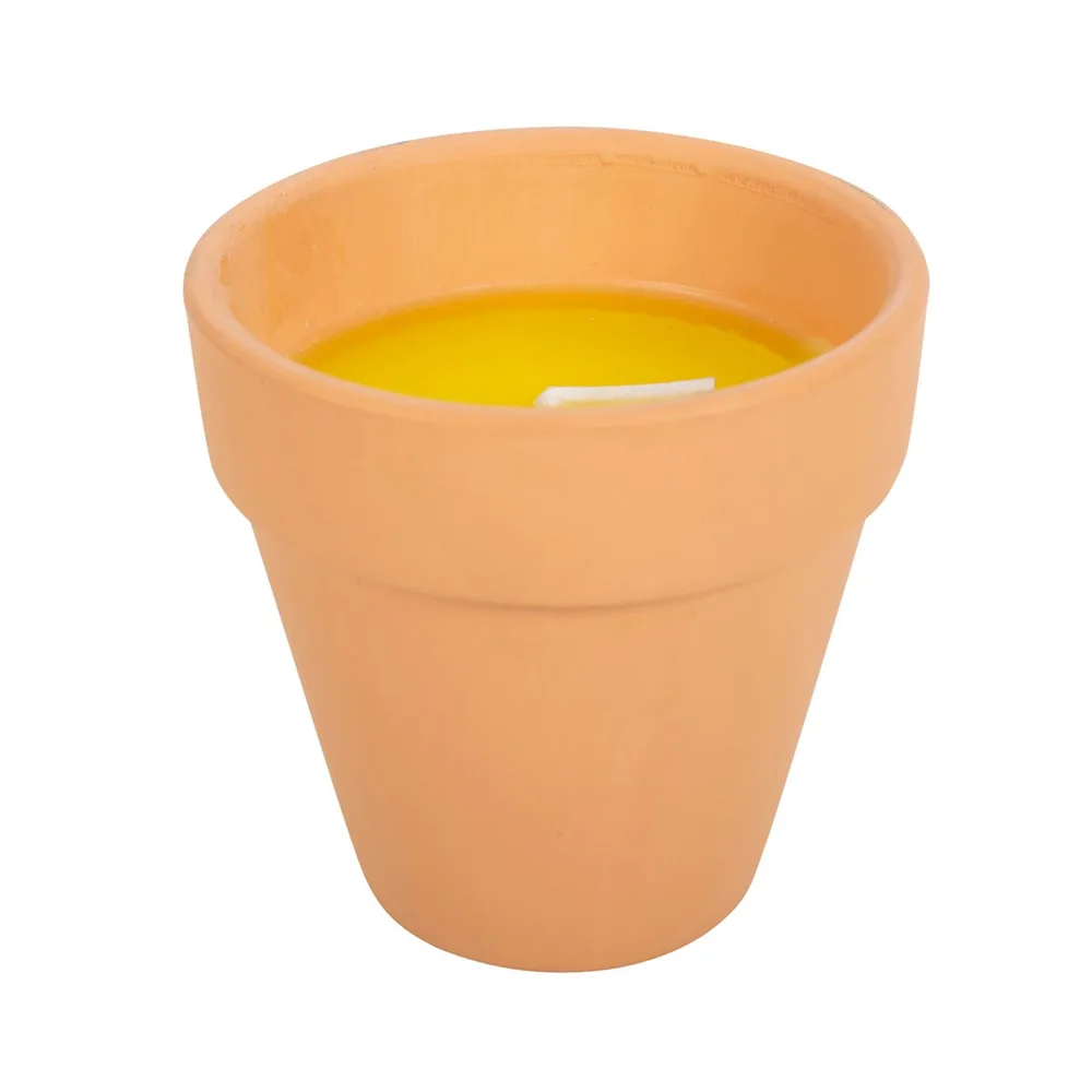 Gardener of the Year Citronella Candle, photo 3 of 5