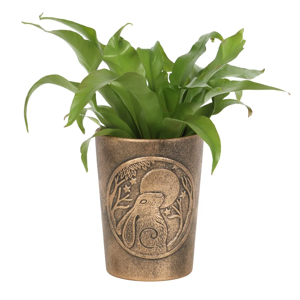 Moon Gazing Hare Bronze Terracotta Plant Pot by Lisa Parker Moon Gazing Hare Bronze Terracotta Plant Pot by Lisa Parker