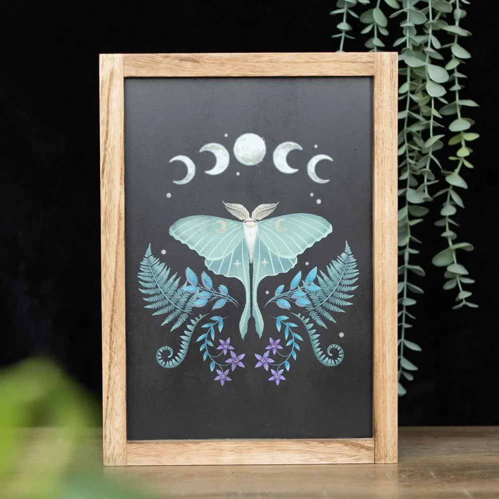 Luna Moth Wooden Framed Wall Art Luna Moth Wooden Framed Wall Art