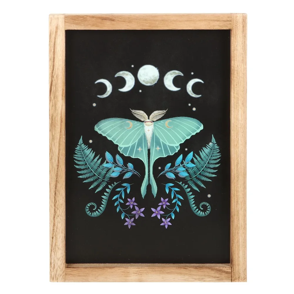 Luna Moth Wooden Framed Wall Art - Image 2