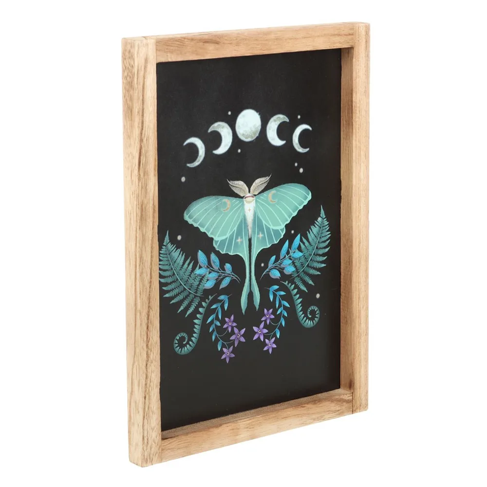 Luna Moth Wooden Framed Wall Art - Image 3