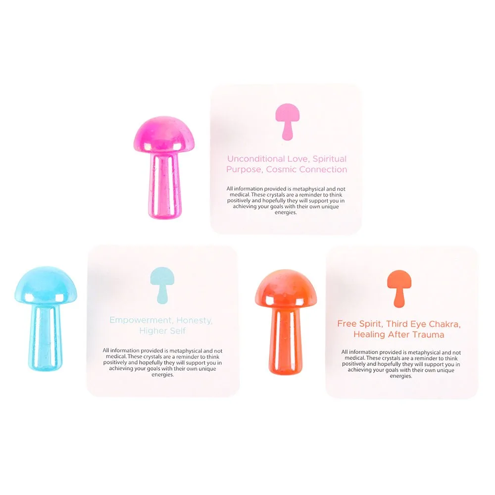 Set of 24 Magic Aura Mushrooms in a Bag - Image 5