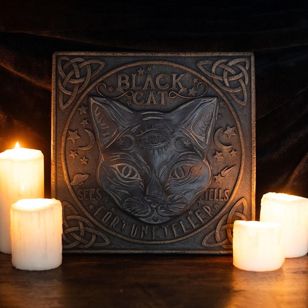 Black Cat Stepping Stone Black Cat Stepping Stone