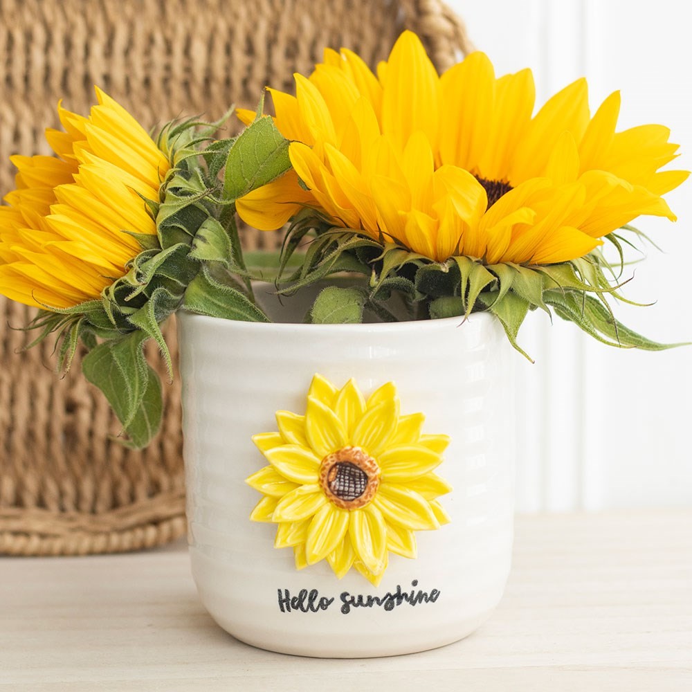 Hello Sunshine Plant Pot with 3D Sunflower Hello Sunshine Plant Pot with 3D Sunflower