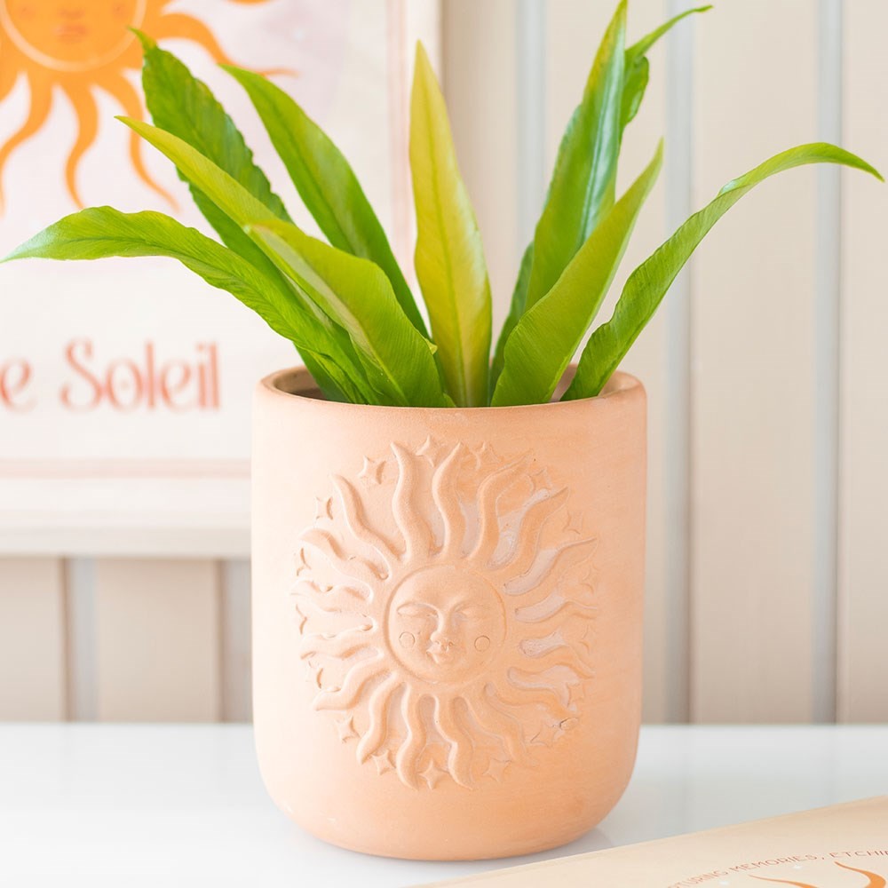 Terracotta Sun Plant Pot Terracotta Sun Plant Pot