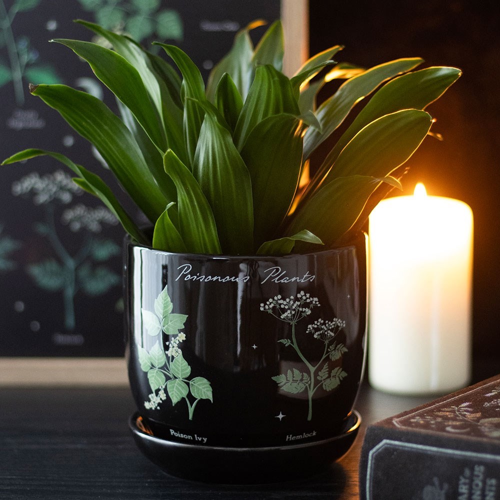 Poisonous Plants Plant Pot Poisonous Plants Plant Pot