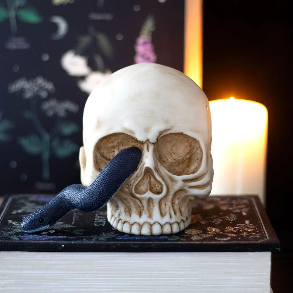 Skull Ornament with Snake Skull Ornament with Snake