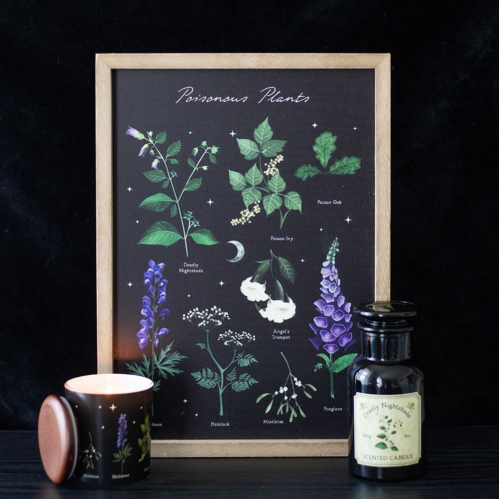 Poisonous Plants Framed Wall Art Print Poisonous Plants Framed Wall Art Print