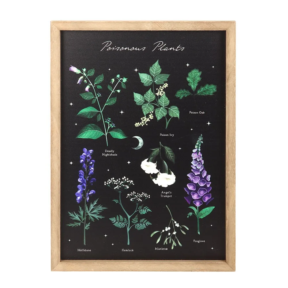Poisonous Plants Framed Wall Art Print - Image 2
