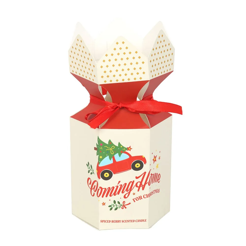 Coming Home for Christmas Spiced Berry Candle, photo 4 of 5