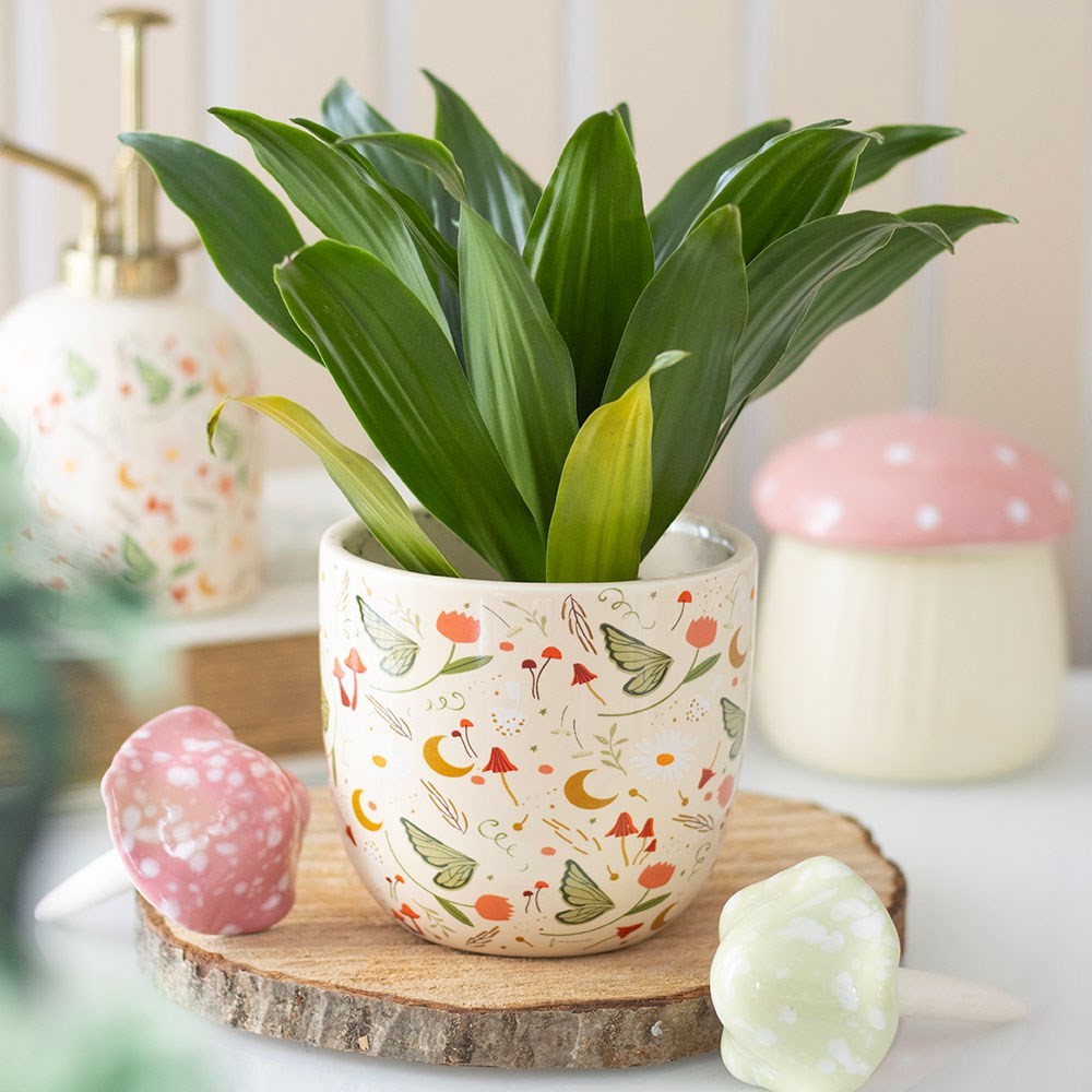 Fairy Folklore Print Plant Pot Fairy Folklore Print Plant Pot