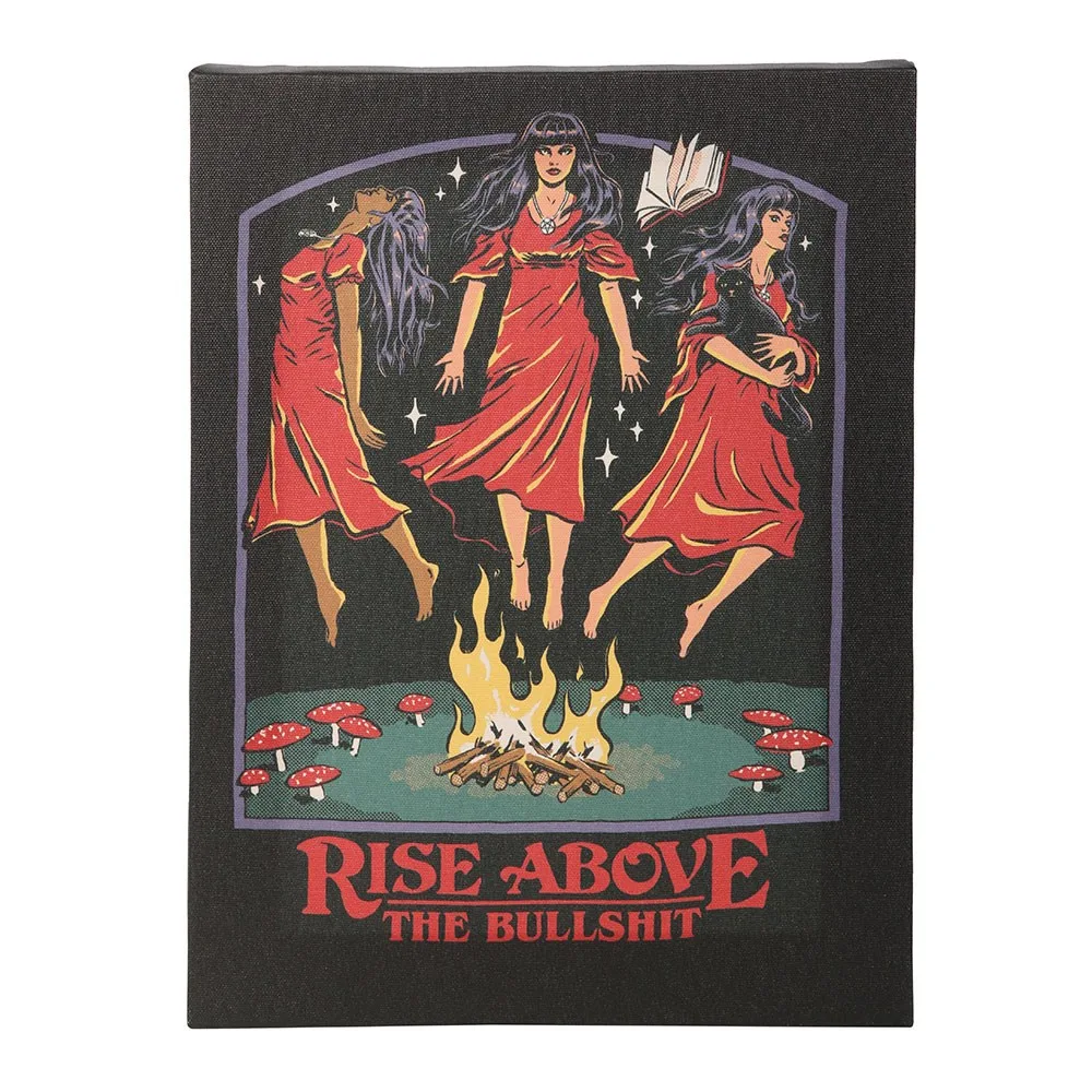 19x25cm Rise Above the Bullshit Canvas Plaque by Steven Rhodes - Image 2