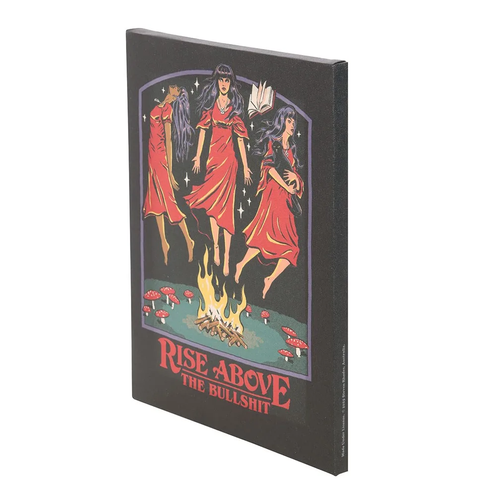 19x25cm Rise Above the Bullshit Canvas Plaque by Steven Rhodes - Image 3