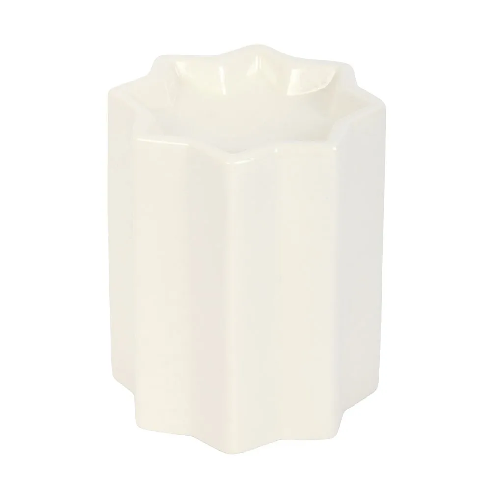White Star Oil Burner, photo 4 of 4