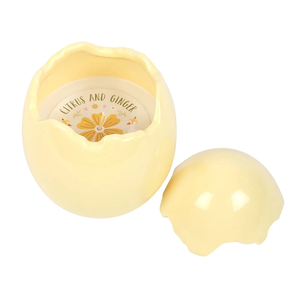 Citrus & Ginger Egg Shaped Candle - Image 2