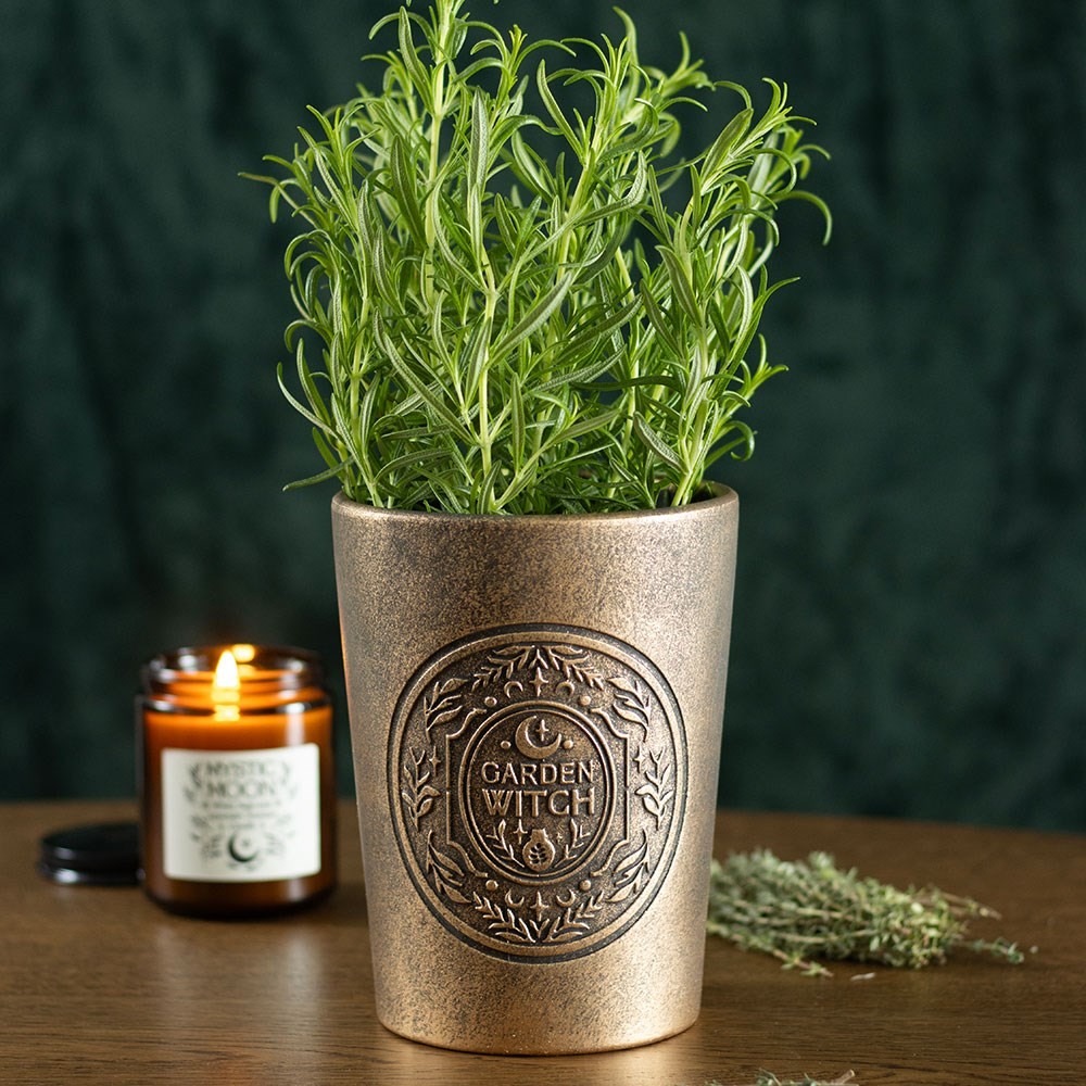 Garden Witch Bronze Effect Terracotta Plant Pot Garden Witch Bronze Effect Terracotta Plant Pot