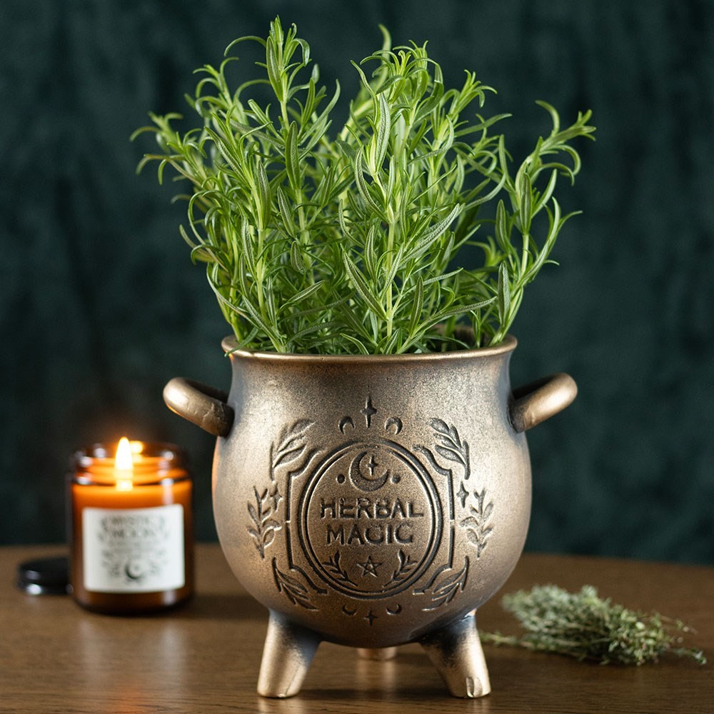 Herbal Magic Bronze Effect Terracotta Cauldron Plant Pot Herbal Magic Bronze Effect Terracotta Cauldron Plant Pot