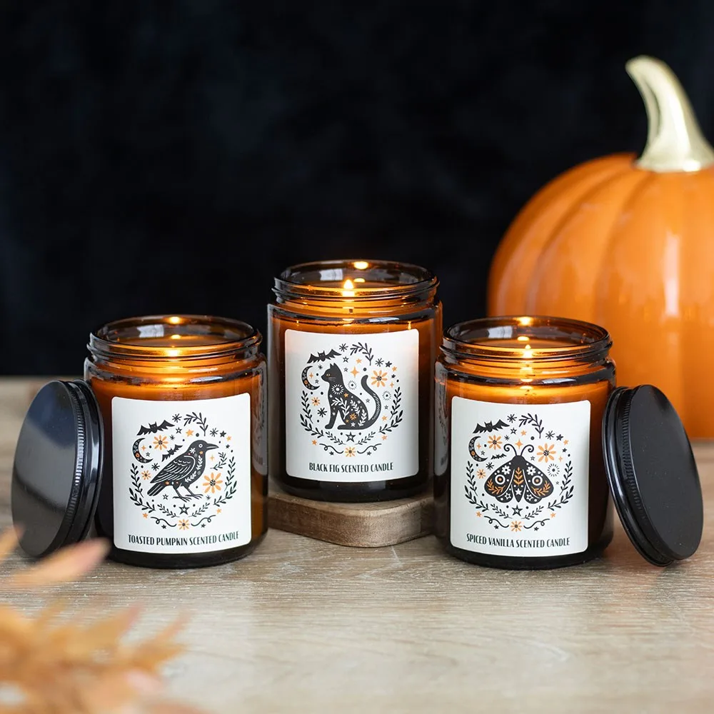 Frightful Folk Cat Black Fig Scented Candle - Image 5